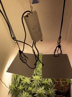 IMG_0755.jpeg