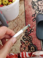 IMG_20260827_160507.jpg